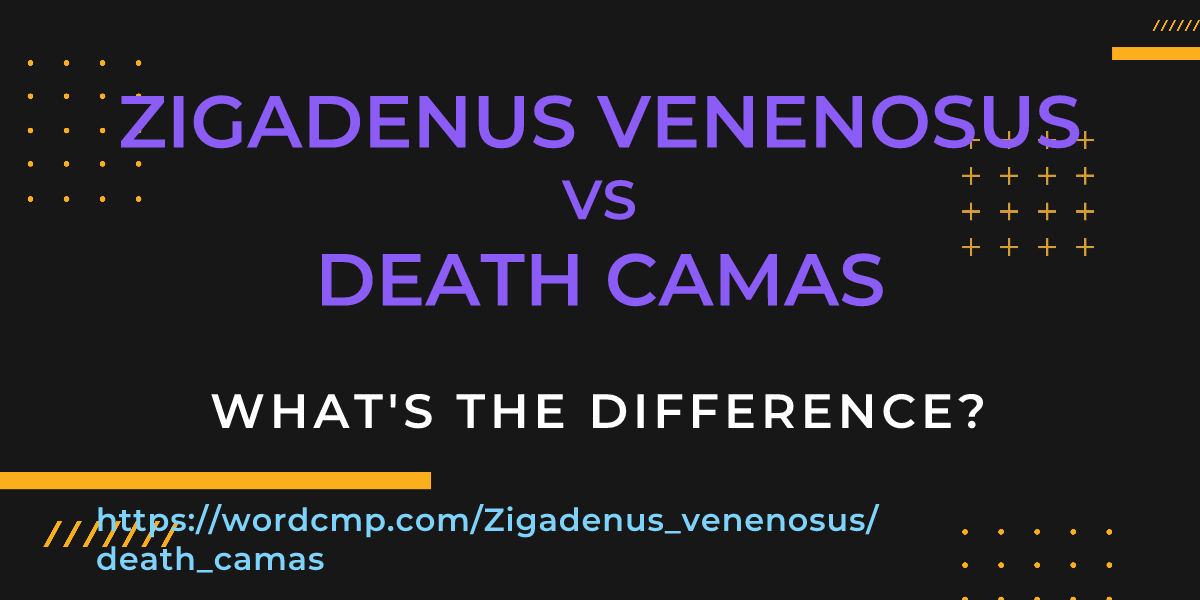 Difference between Zigadenus venenosus and death camas
