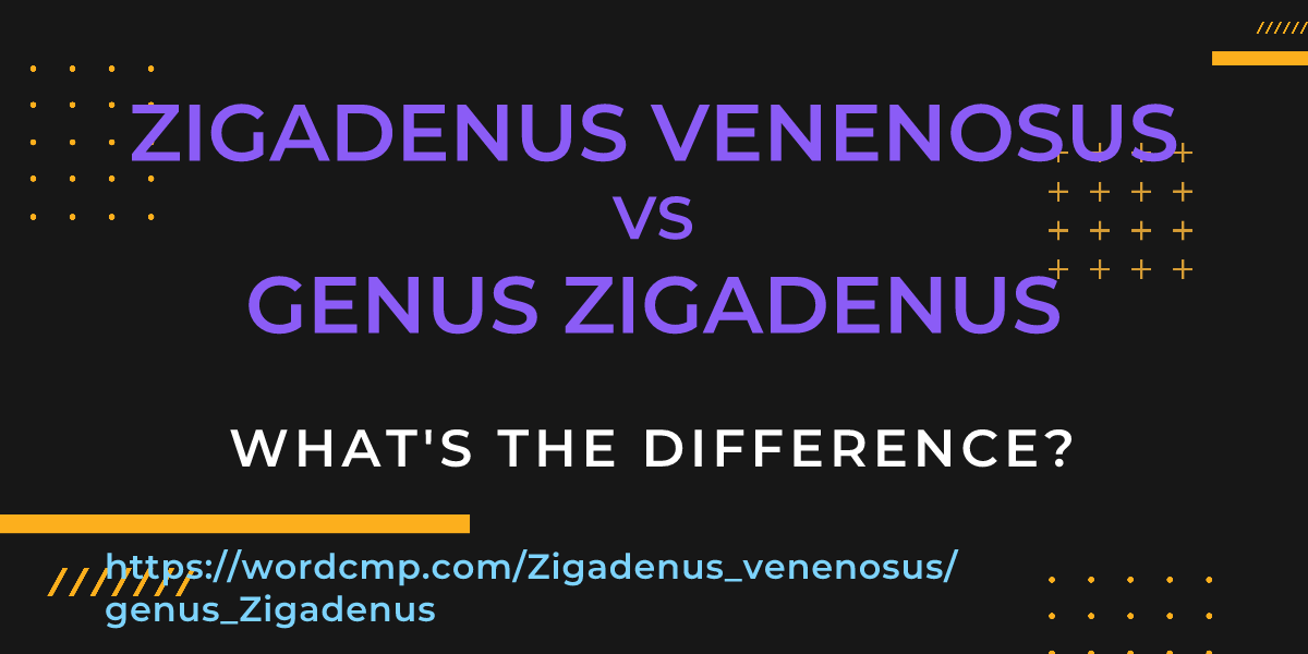 Difference between Zigadenus venenosus and genus Zigadenus