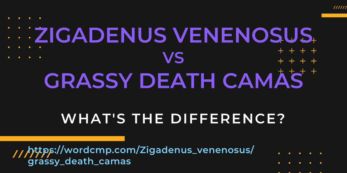 Difference between Zigadenus venenosus and grassy death camas