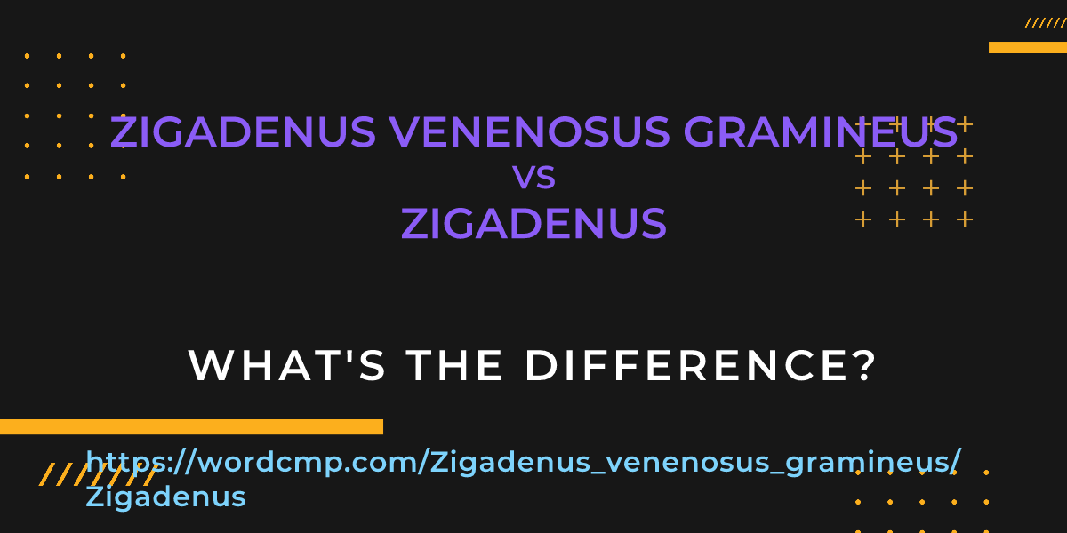 Difference between Zigadenus venenosus gramineus and Zigadenus