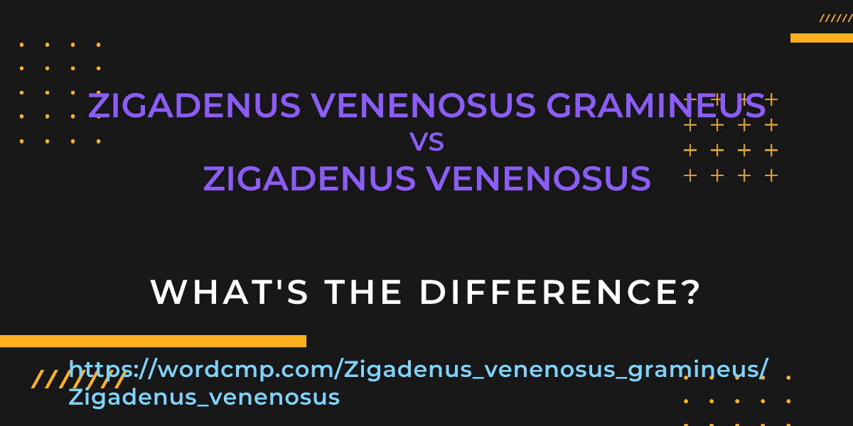 Difference between Zigadenus venenosus gramineus and Zigadenus venenosus