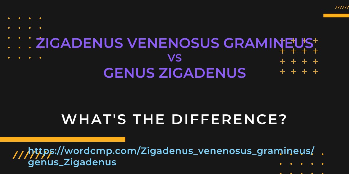 Difference between Zigadenus venenosus gramineus and genus Zigadenus