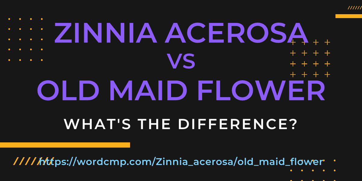 Difference between Zinnia acerosa and old maid flower