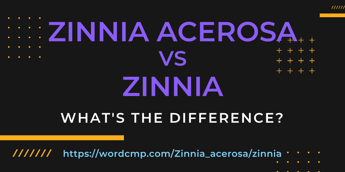 Difference between Zinnia acerosa and zinnia