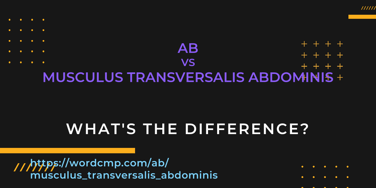 Difference between ab and musculus transversalis abdominis