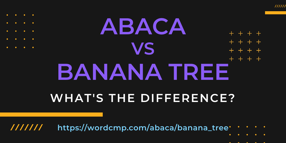 Difference between abaca and banana tree
