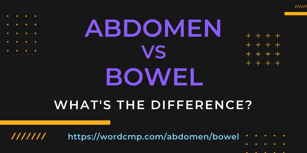 Difference between abdomen and bowel