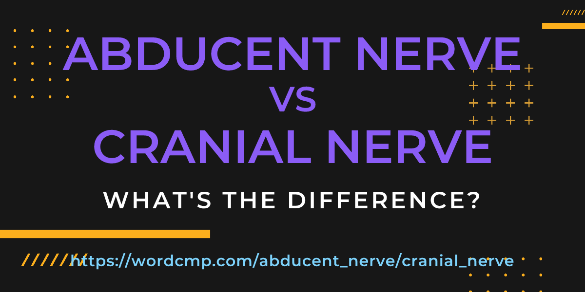 Difference between abducent nerve and cranial nerve