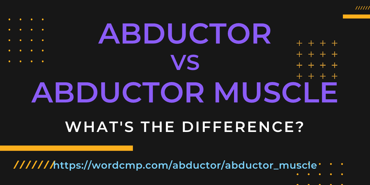 Difference between abductor and abductor muscle