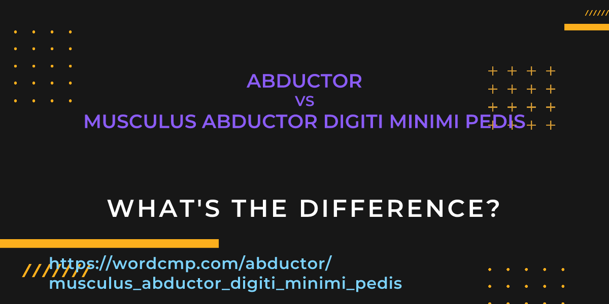 Difference between abductor and musculus abductor digiti minimi pedis