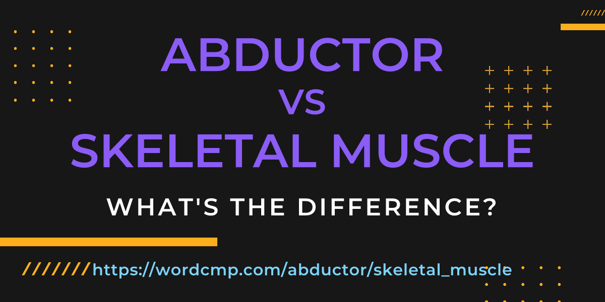 Difference between abductor and skeletal muscle