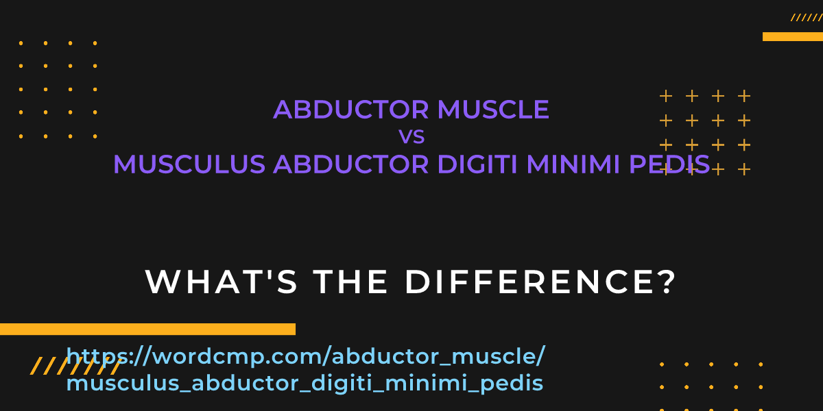 Difference between abductor muscle and musculus abductor digiti minimi pedis