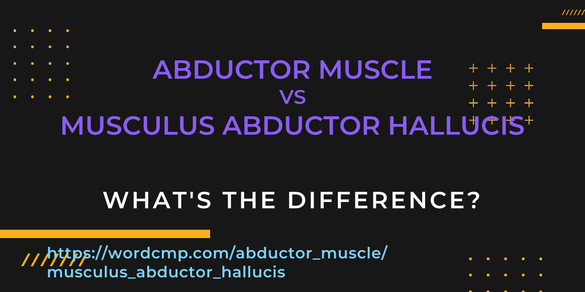 Difference between abductor muscle and musculus abductor hallucis