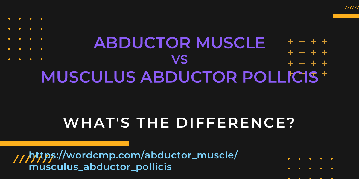 Difference between abductor muscle and musculus abductor pollicis