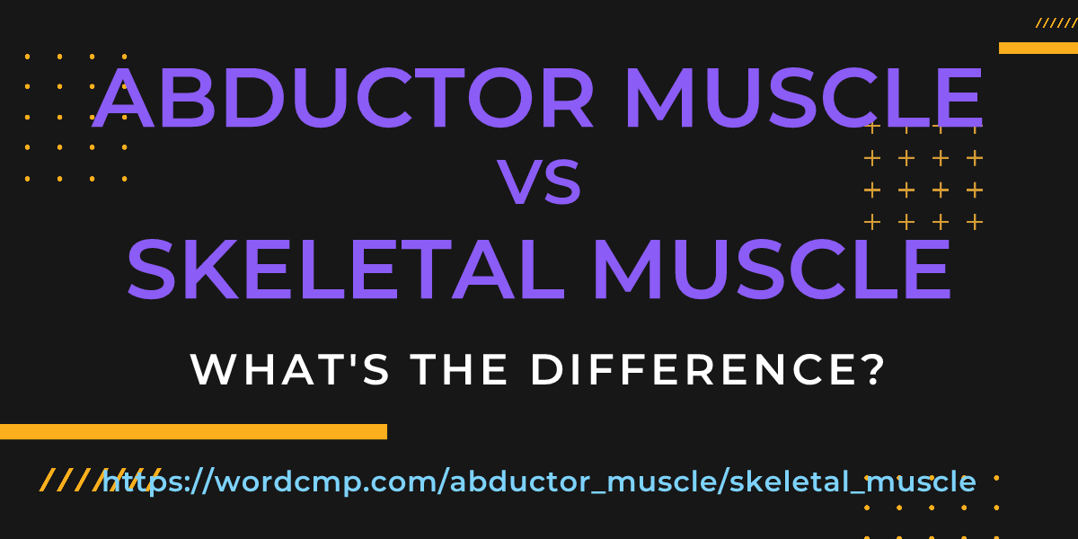 Difference between abductor muscle and skeletal muscle