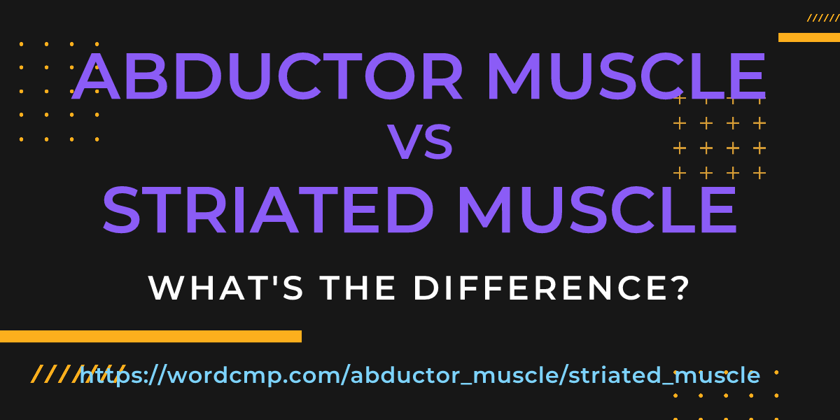 Difference between abductor muscle and striated muscle