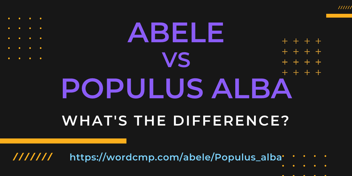 Difference between abele and Populus alba