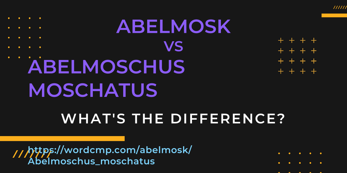 Difference between abelmosk and Abelmoschus moschatus