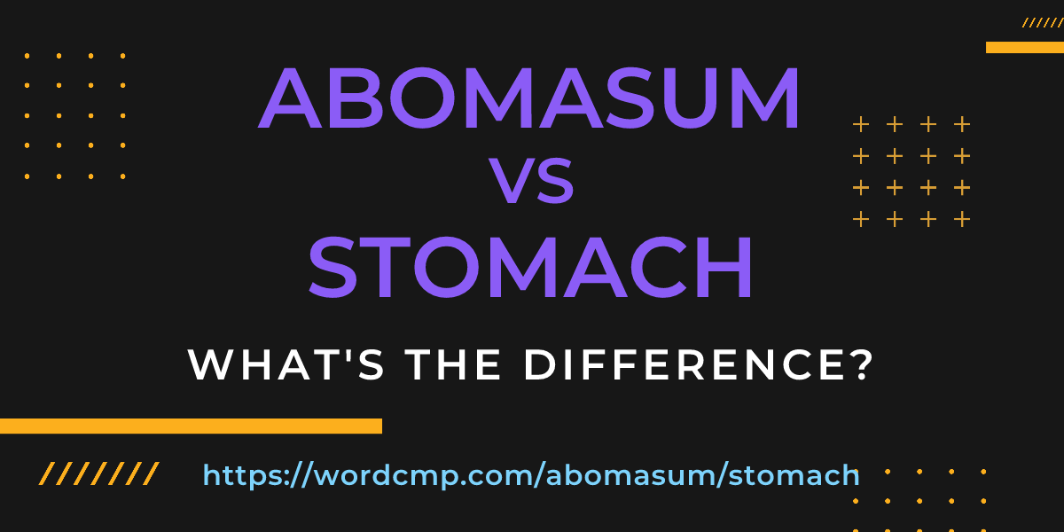 Difference between abomasum and stomach