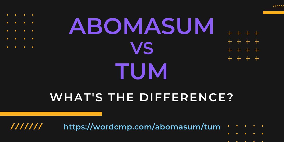 Difference between abomasum and tum