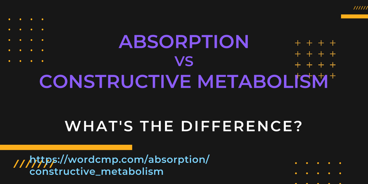 Difference between absorption and constructive metabolism