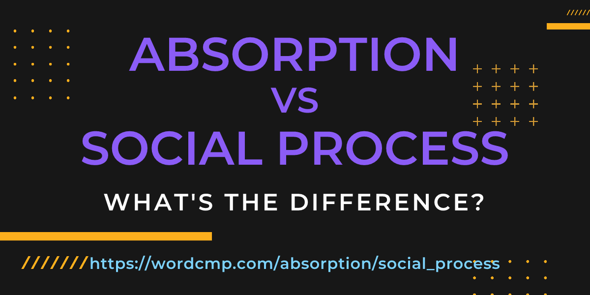 Difference between absorption and social process