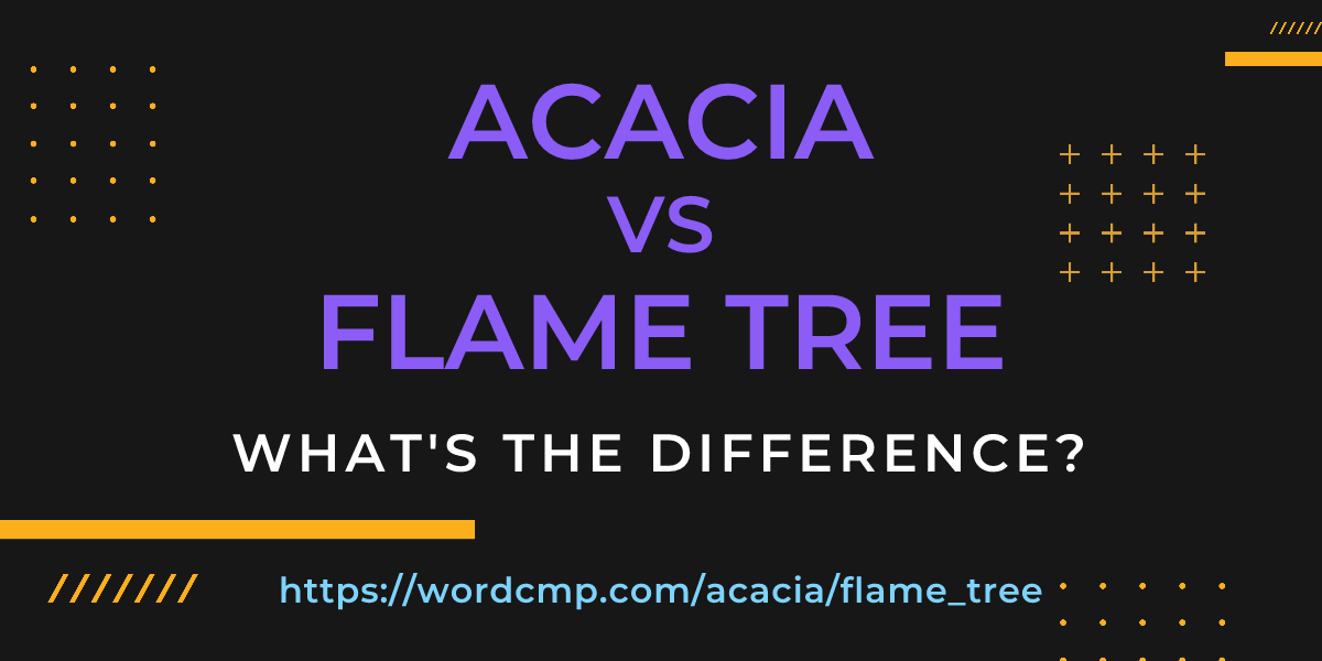 Difference between acacia and flame tree