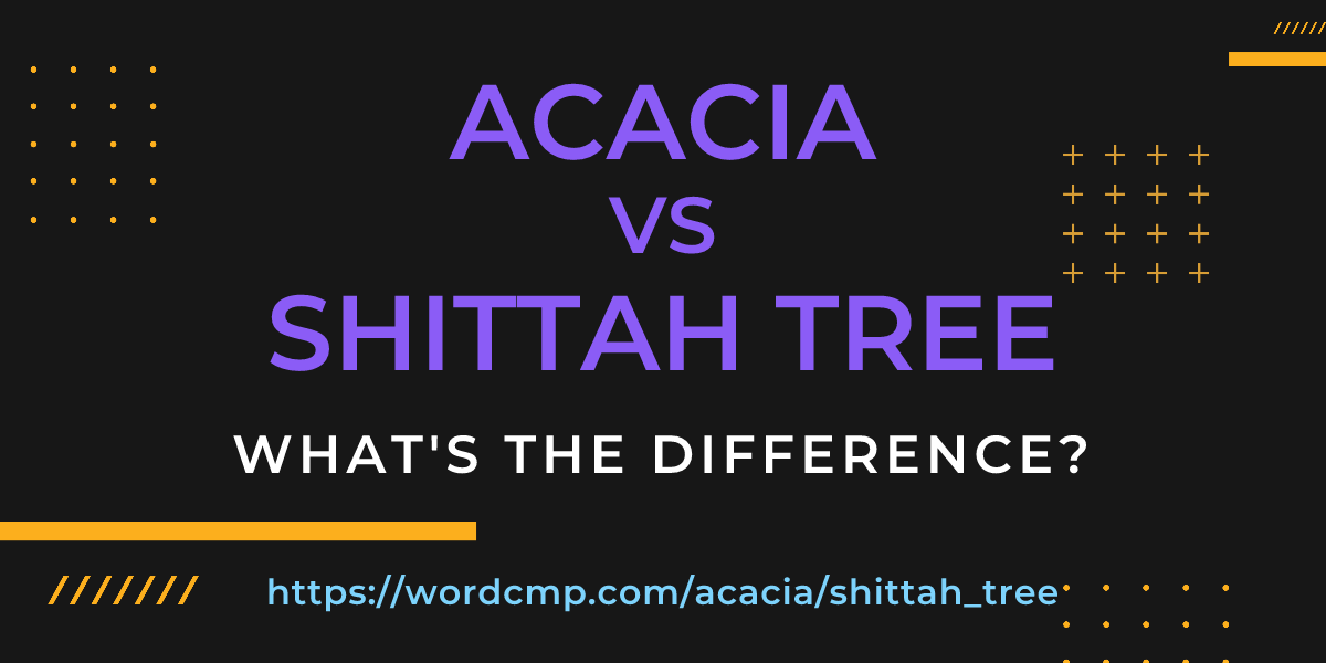 Difference between acacia and shittah tree