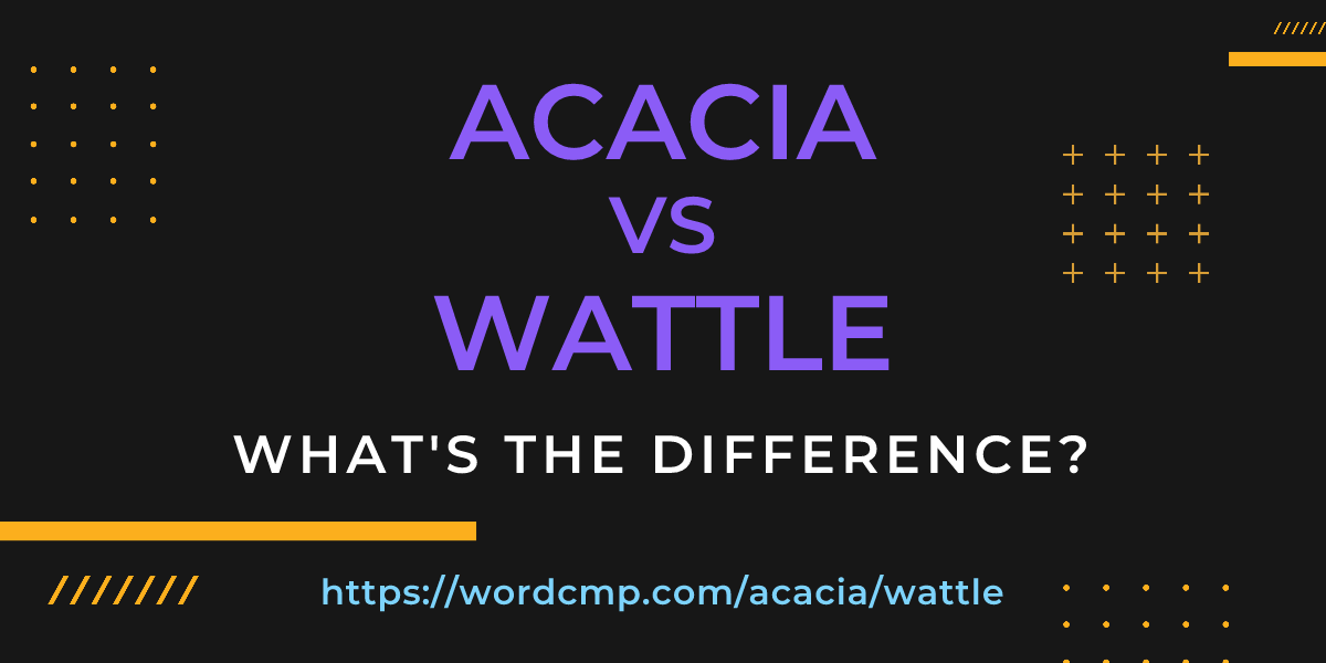 Difference between acacia and wattle