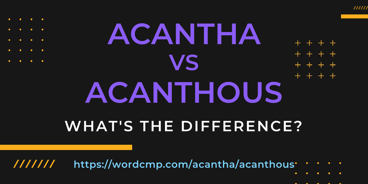 Difference between acantha and acanthous