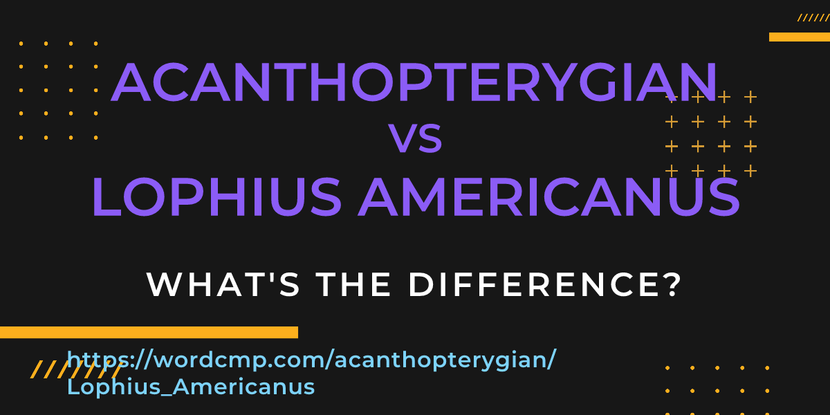 Difference between acanthopterygian and Lophius Americanus