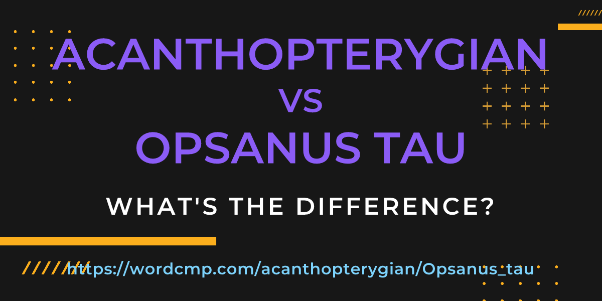 Difference between acanthopterygian and Opsanus tau