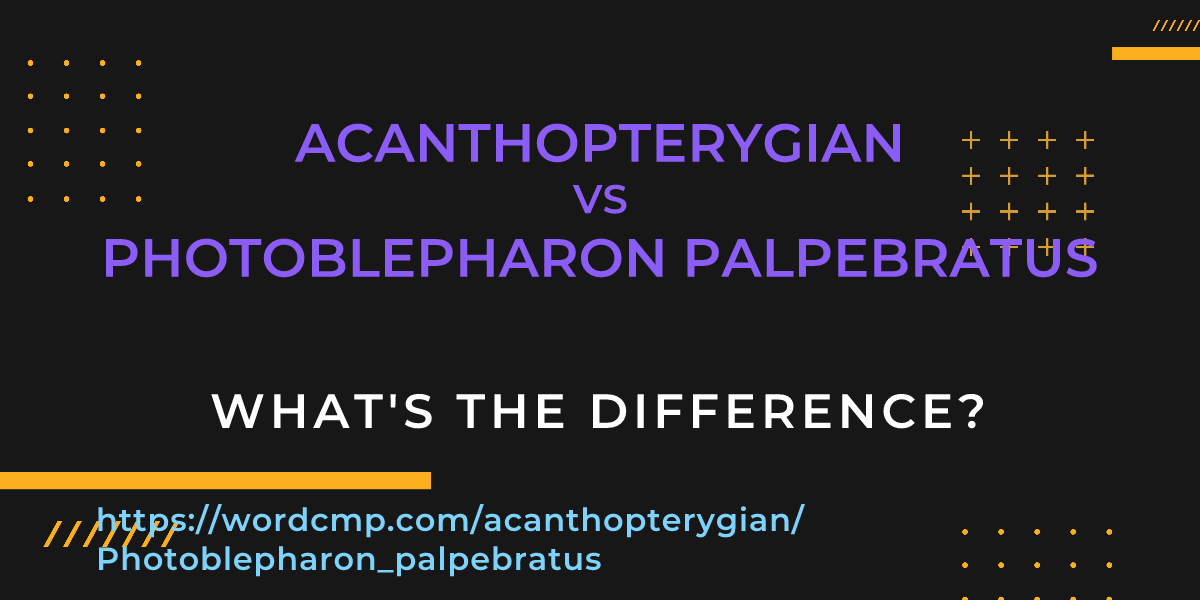 Difference between acanthopterygian and Photoblepharon palpebratus