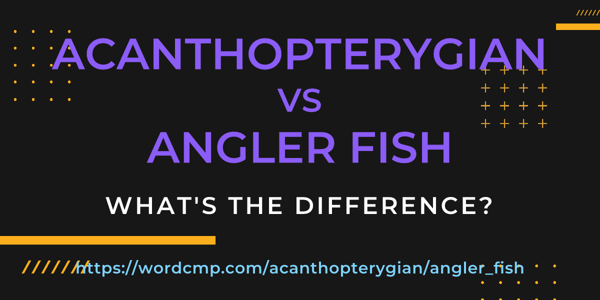 Difference between acanthopterygian and angler fish
