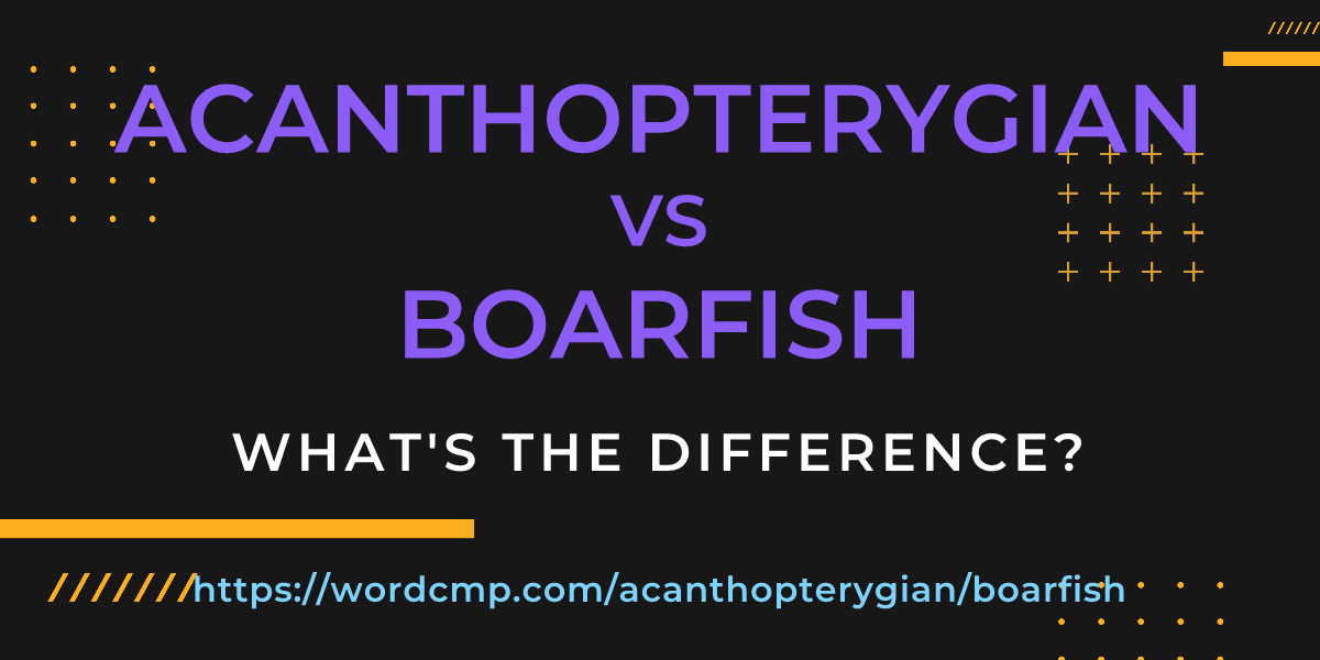 Difference between acanthopterygian and boarfish