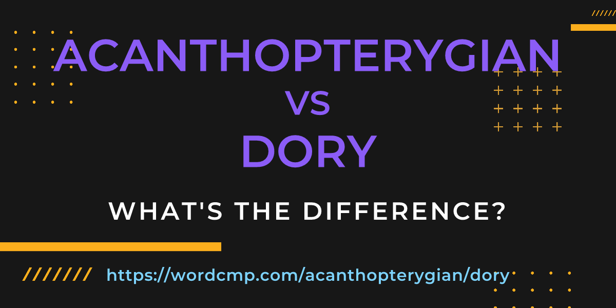 Difference between acanthopterygian and dory