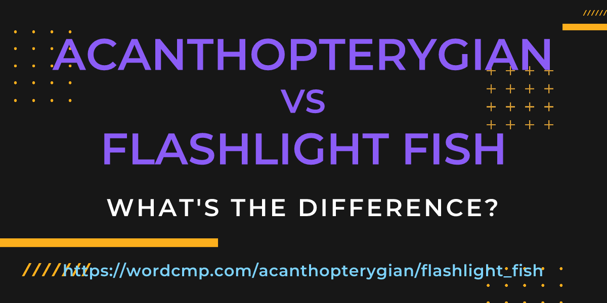 Difference between acanthopterygian and flashlight fish