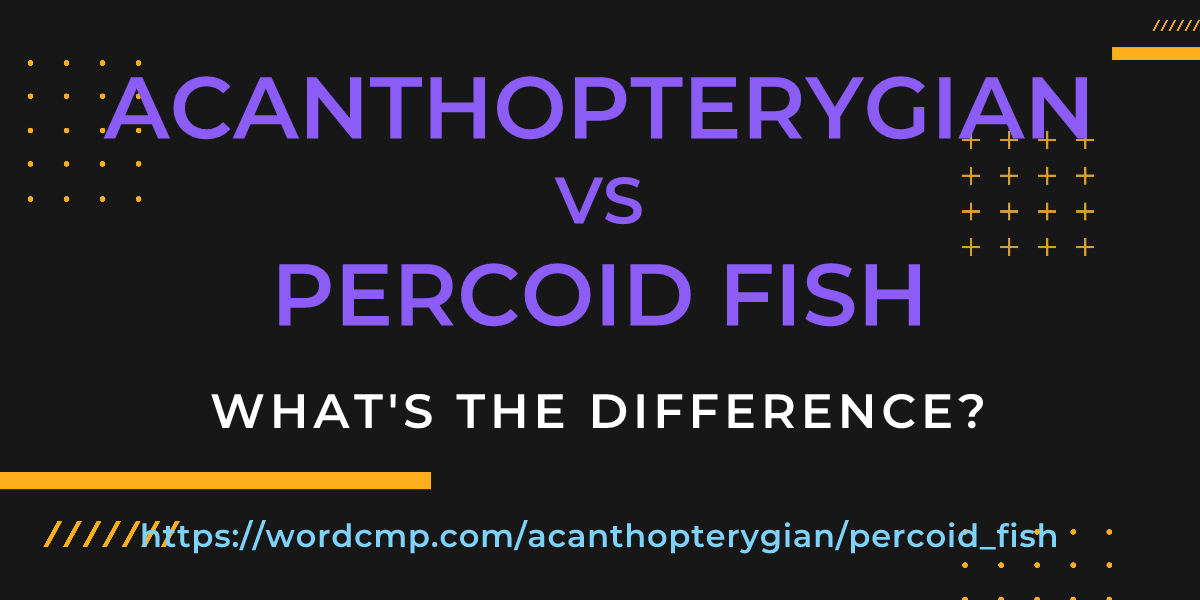 Difference between acanthopterygian and percoid fish