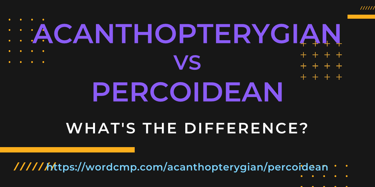 Difference between acanthopterygian and percoidean