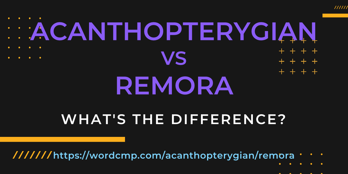 Difference between acanthopterygian and remora