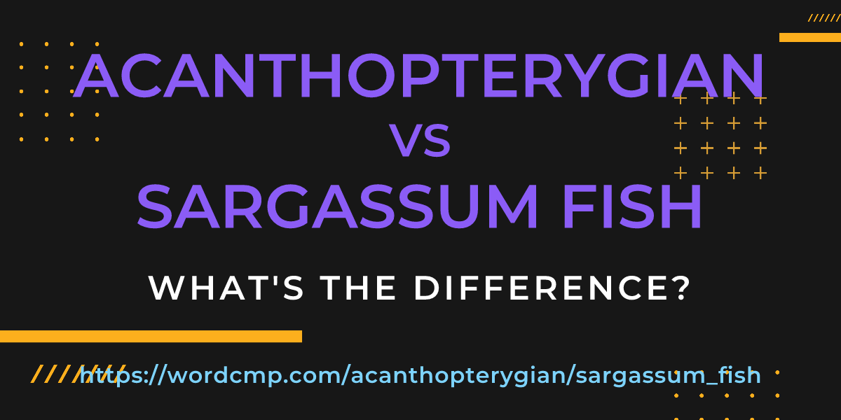 Difference between acanthopterygian and sargassum fish