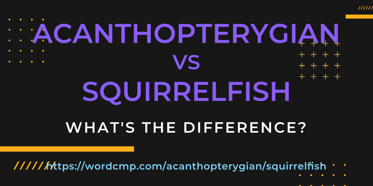 Difference between acanthopterygian and squirrelfish