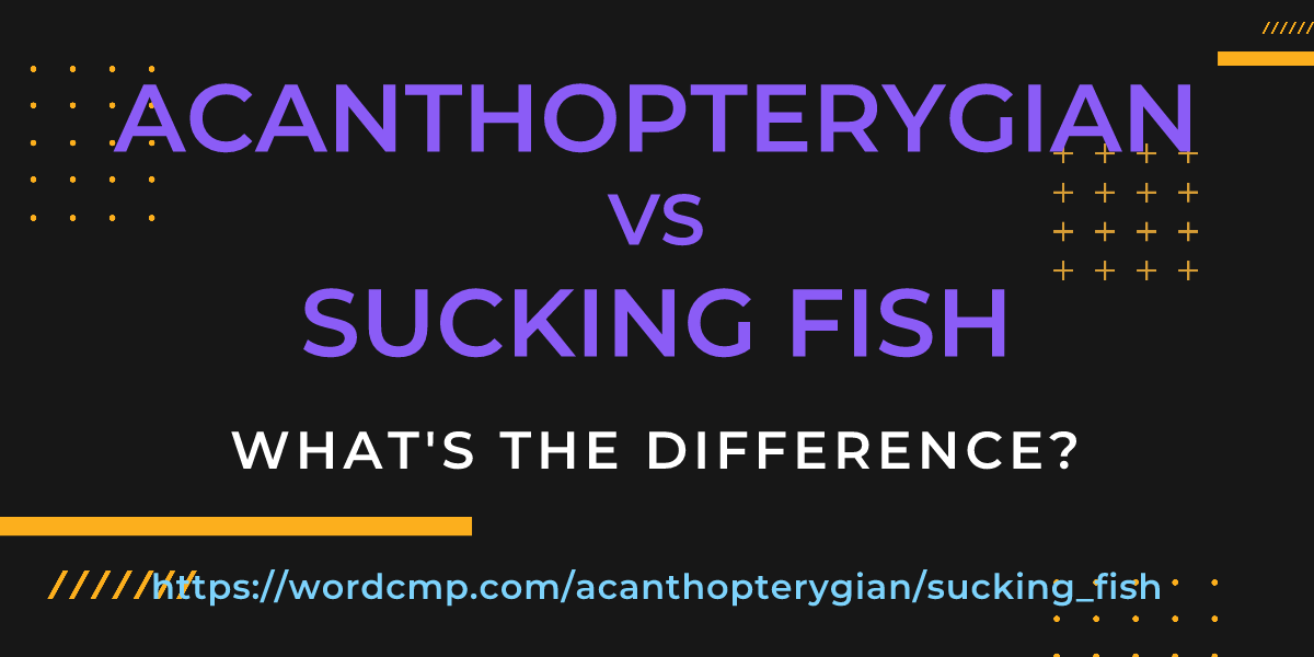 Difference between acanthopterygian and sucking fish