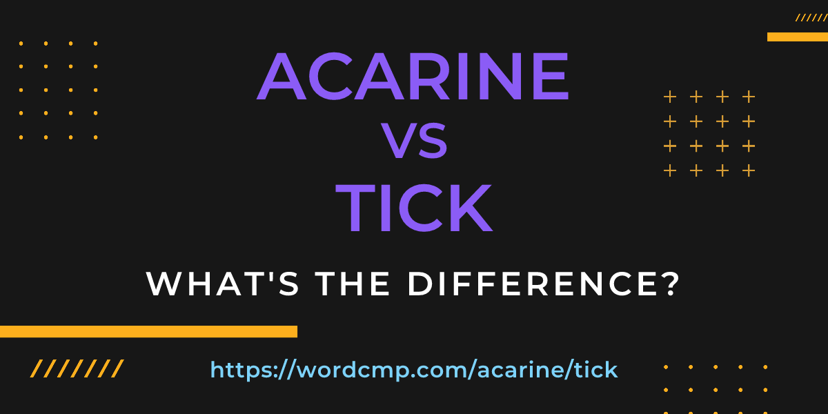 Difference between acarine and tick