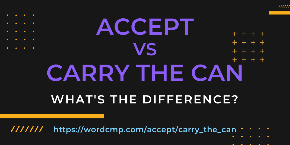 Difference between accept and carry the can