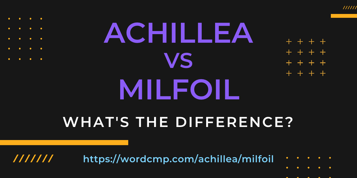 Difference between achillea and milfoil