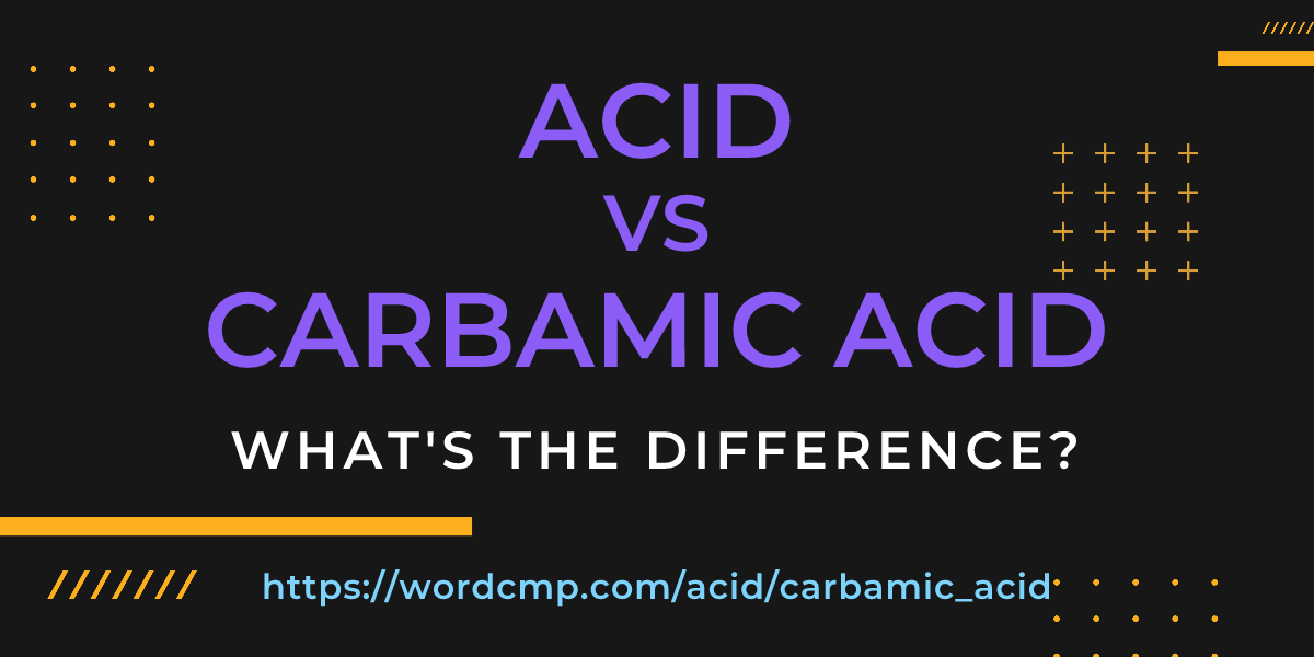 Difference between acid and carbamic acid