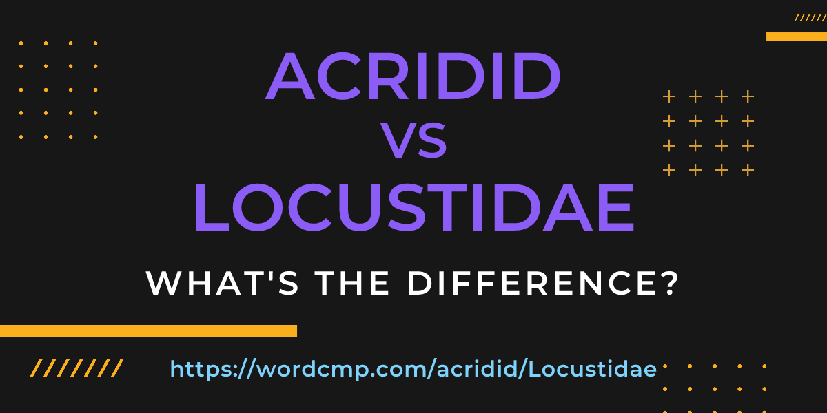 Difference between acridid and Locustidae