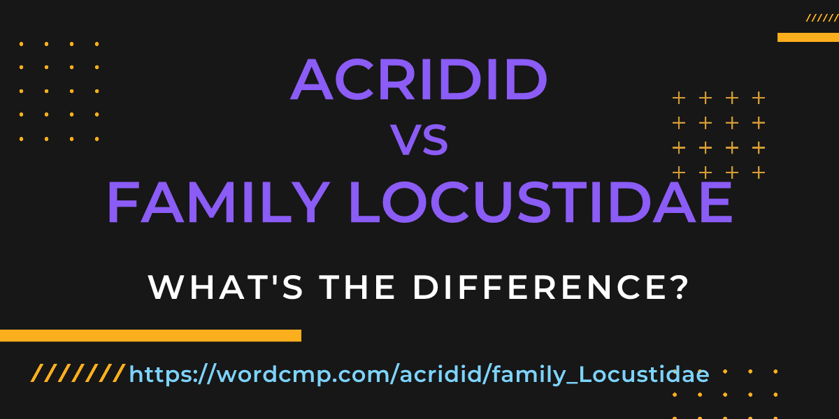 Difference between acridid and family Locustidae