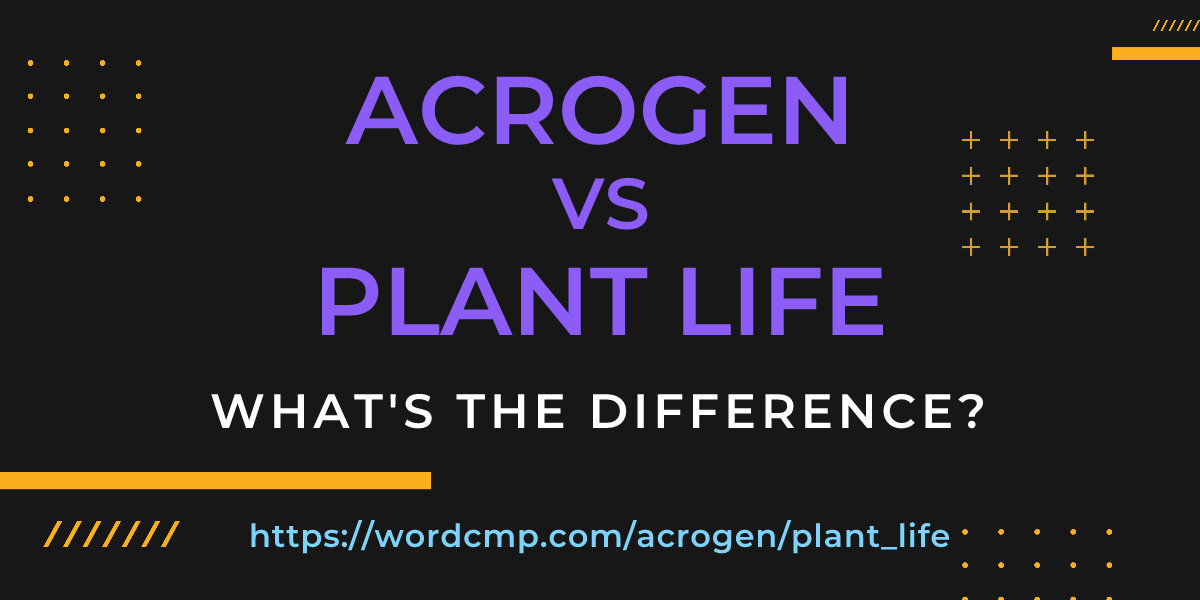 Difference between acrogen and plant life